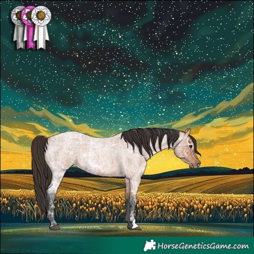 Horse Color:Bay Ice Roan 