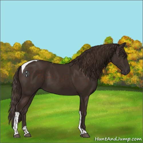 Horse Color:Liver Chestnut Tobiano 