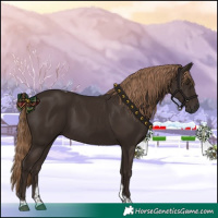 Horse Color:Liver Chestnut Tobiano
