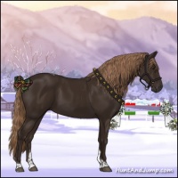 Horse Color:Liver Chestnut Tobiano 