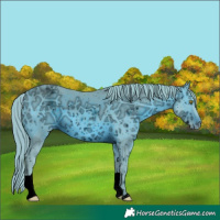Horse Color:ERROR: UNKNOWN ANOMALY