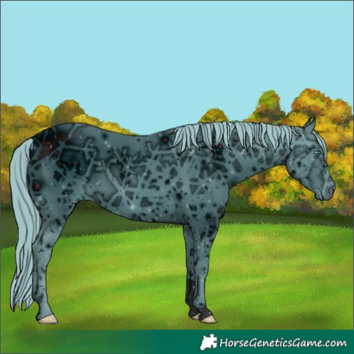 Horse Color:ERROR: UNKNOWN ANOMALY