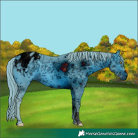 Horse Color:ERROR: UNKNOWN ANOMALY