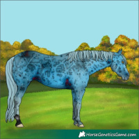 Horse Color:ERROR: UNKNOWN ANOMALY