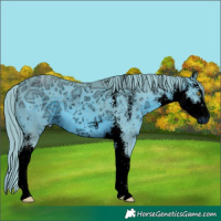 Horse Color:ERROR: UNKNOWN ANOMALY