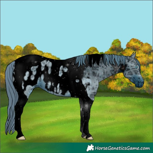 Horse Color:ERROR: UNKNOWN ANOMALY