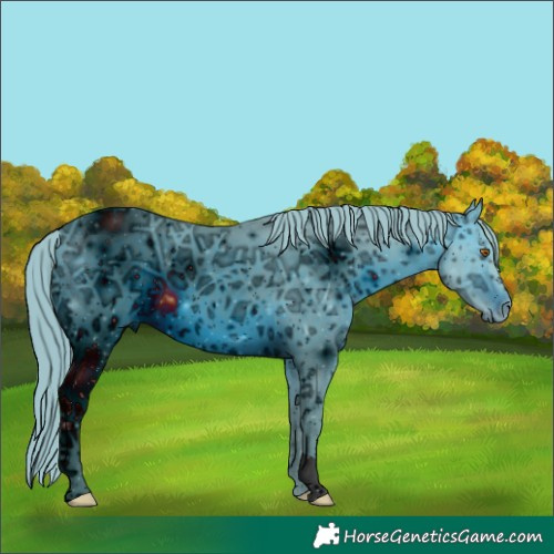 Horse Color:ERROR: UNKNOWN ANOMALY