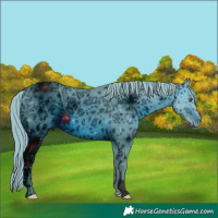 Horse Color:ERROR: UNKNOWN ANOMALY