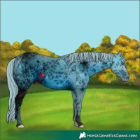 Horse Color:ERROR: UNKNOWN ANOMALY