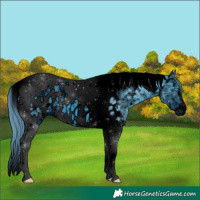 Horse Color:ERROR: UNKNOWN ANOMALY