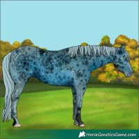 Horse Color:ERROR: UNKNOWN ANOMALY