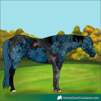 Horse Color:ERROR: UNKNOWN ANOMALY