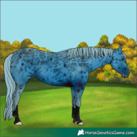 Horse Color:ERROR: UNKNOWN ANOMALY