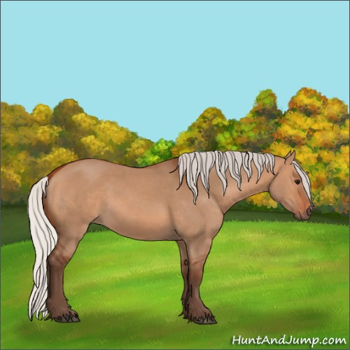 Horse Color:Silver Bay Dun 