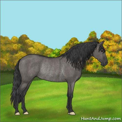 Horse Color:Grullo Rabicano 