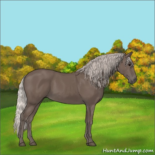 Horse Color:Silver Black