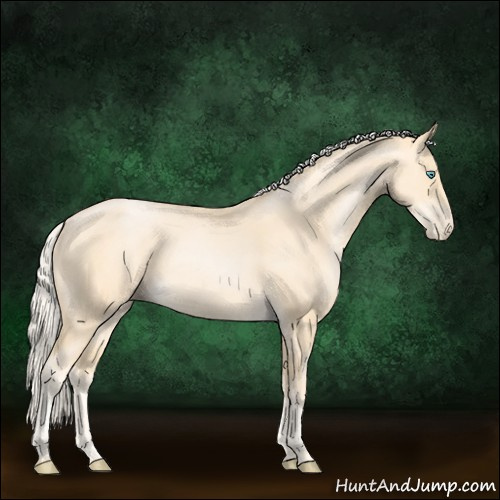 Horse Color:Palomino Pearl 