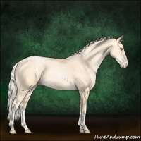 Horse Color:Palomino Pearl 
