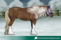 Horse Color:Chocolate Palomino Tobiano 