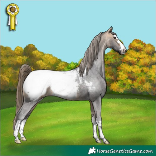 Horse Color:Buckskin Near Fewspot 