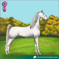Horse Color:Perlino Snowcap 
