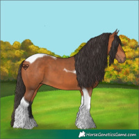 Horse Color:Bay Tobiano 