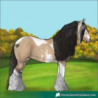 Horse Color:Gray Bay Dun Sabino Tobiano 