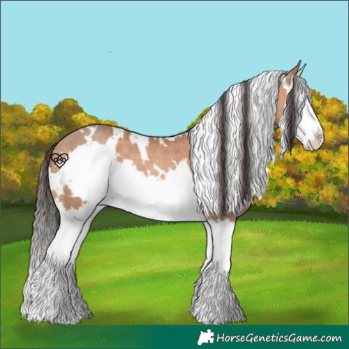 Horse Color:White Spotted Amber Champagne Splash 
