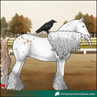 Horse Color:White Spotted Bay Dun Splash Blanket 