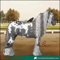 Horse Color:White Spotted Smoky Black Varnish 