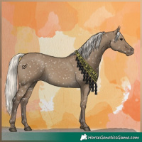 Horse Color:Silver Smoky Grullo Appaloosa 