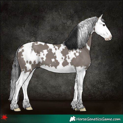 Horse Color:White Spotted Grullo Splash 