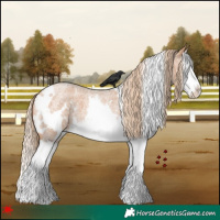 Horse Color:White Spotted Red Roan Splash