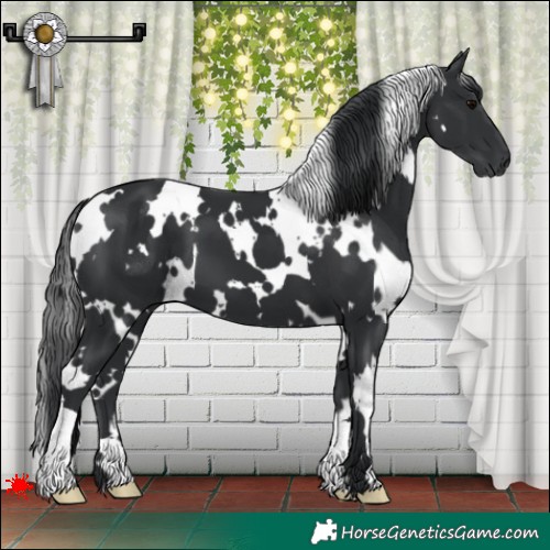 Horse Color:White Spotted Black 