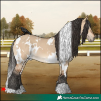 Horse Color:White Spotted Bay Dun 