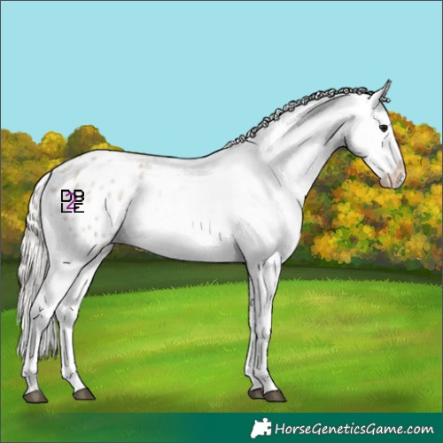 Horse Color:Silver Grullo Roan Blanket