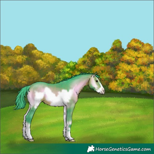 Horse Color:Watercolor Bay Onyx Frame 