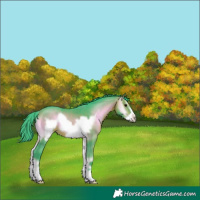 Horse Color:Watercolor Bay Onyx Frame 