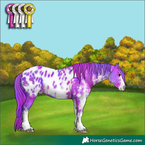Horse Color:Nacre Watercolor White Spotted Black Appaloosa Rabicano 