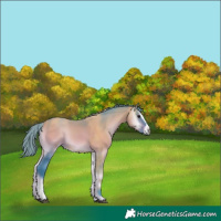 Horse Color:Watercolor Bay Onyx Sabino 