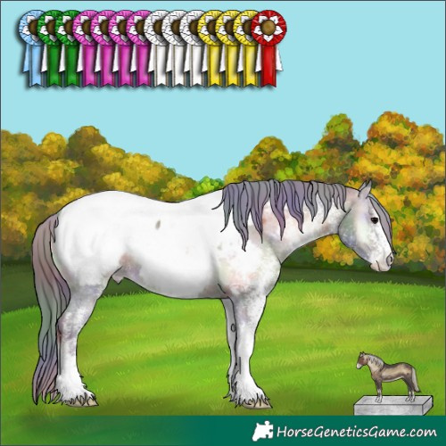 Horse Color:Nacre White Spotted Brown Onyx Appaloosa 