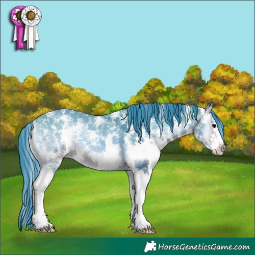 Horse Color:Watercolor Bay Onyx Sabino 