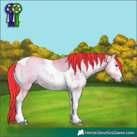 Horse Color:Watercolor Liver Red Dun Onyx Sabino Tobiano