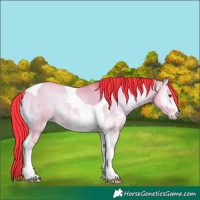 Horse Color:Watercolor Liver Red Dun Onyx Sabino Tobiano 