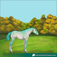 Horse Color:Watercolor Brown Roan Onyx 