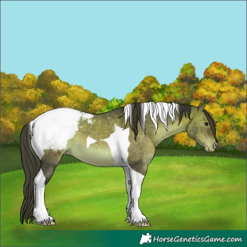 Horse Color:Brown Dun Tobiano Snowcap