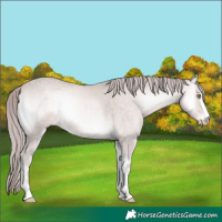 Horse Color:Platinum Perlino Onyx