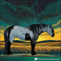 Horse Color:ERROR: UNKNOWN ANOMALY