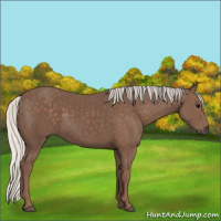 Horse Color:Silver Black 