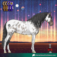 Horse Color:Brown Roan Dun Tobiano Near Leopard 